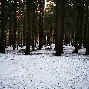 Tom Vachala na vrcholu Slavíč - SZ vrchol (24.2.2021 17:25)