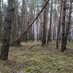 Holi na vrcholu Nad Drahotínským rybníkem (10.12.2022 11:00)