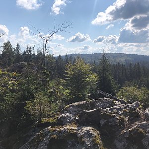 Anežka Boříková na vrcholu U křivého buku (19.9.2024 15:31)