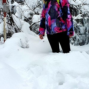 Vero na vrcholu Slavíč (19.1.2021 15:15)