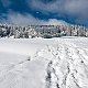 Tereza na vrcholu Slavíč (14.2.2021 8:01)