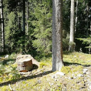 Vladimír Grančay na vrcholu Stěžerovský hřbet - S vrchol (28.8.2024 11:49)