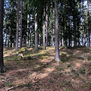 Anežka Boříková na vrcholu Nad Skladem (10.3.2024 12:03)