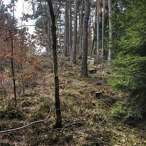 Anežka Boříková na vrcholu Nad Rybníkem (10.3.2024 13:36)