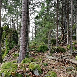 Vladimír Grančay na vrcholu Nad Rokytou - J vrchol (31.12.2023 12:58)