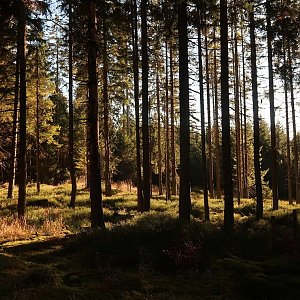 Bouřka na vrcholu Žďárecká slať (14.11.2022 9:31)