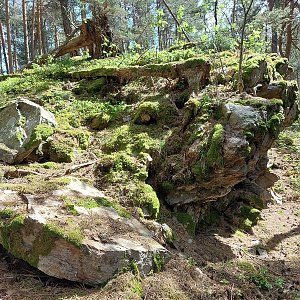 Mykas na vrcholu Kamenný vrch (29.4.2024 13:54)