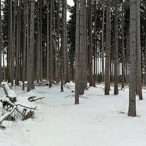 Šumava