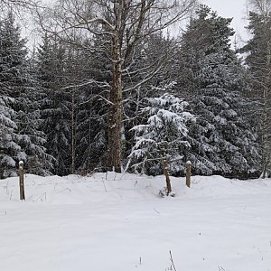 VěrkaN na vrcholu Nad Spodním polem (22.1.2023 11:24)