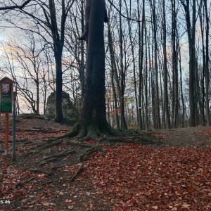 Zdena Trommler na vrcholu Raškův kámen (15.11.2024 15:47)