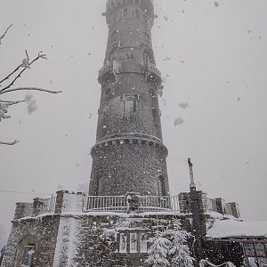 Ivetast na vrcholu Děčínský Sněžník (24.1.2021 12:30)