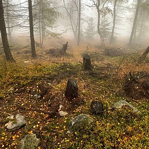 Jan Matiášek na vrcholu Děčínský Sněžník (20.10.2020 8:52)