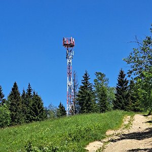 Anna na vrcholu Kohútik (19.6.2022)