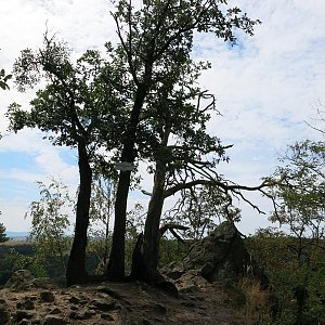 ZdenkaV na vrcholu Břestecká skála (7.8.2024)