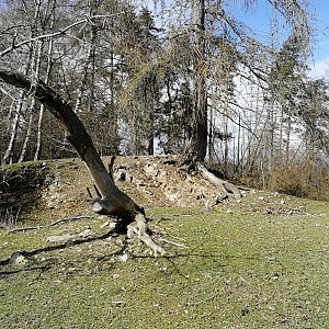 Vladimír Grančay na vrcholu Nad Bořanou (29.3.2024 11:02)