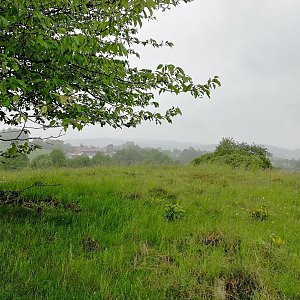 Vladimír Grančay na vrcholu Nad Litovcem (22.5.2024 10:55)