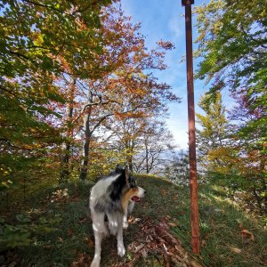 Jiří Králík na vrcholu Malenica (20.10.2024 13:19)