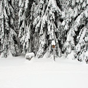 Michal Kříž na vrcholu U tří jedlí (26.1.2019 11:05)