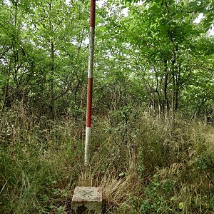 Nojby na vrcholu Pěčkovický kopec (13.7.2022 8:39)