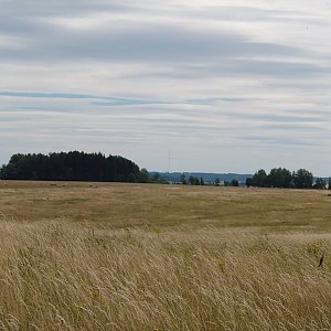 Nojby na vrcholu Ješátkův kopec (13.7.2022 12:16)