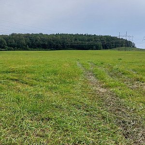 Mykas na vrcholu Bučina (22.8.2024 9:07)