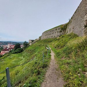 Mykas na vrcholu Forteczna Gora (14.6.2024 8:48)