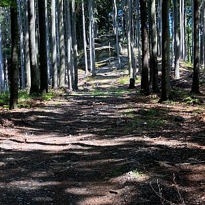 Mertelici na tripu na vrcholu Výr (3.8.2022 12:04)