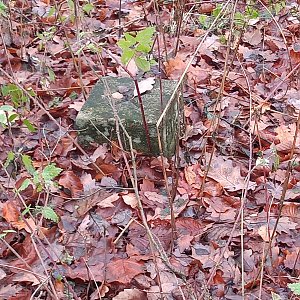 VěrkaN na vrcholu Na Rejtě (26.11.2022 10:28)