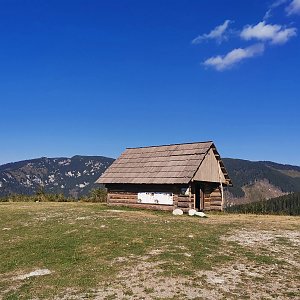 Šárka na vrcholu Vyšné Priečne  (5.9.2024 16:12)