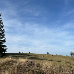 akam na vrcholu Loučka - JV vrchol (20.10.2024 13:51)