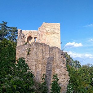 Torr na vrcholu Lobdeburg (21.8.2022 16:30)