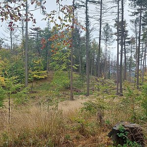 Cyklista 73 na vrcholu Vápenný vrch - J vrchol (6.10.2022 10:57)