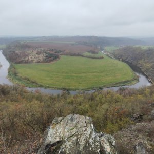 Stáňa na vrcholu U Havlovy skály (12.11.2024 9:47)