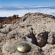 Leottomontagne na vrcholu Teide (27.2.2024 13:05)