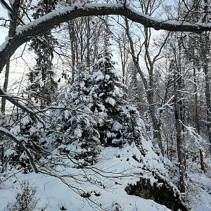 Vladimír Grančay na vrcholu Nad Ostrohem (11.12.2022 9:11)