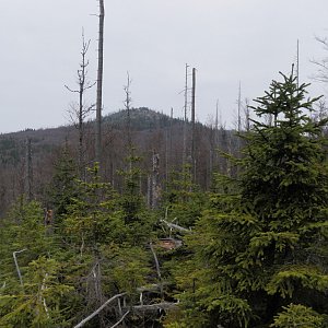 Vladimír Grančay na vrcholu Luzný / Lusen (5.4.2014 10:40)