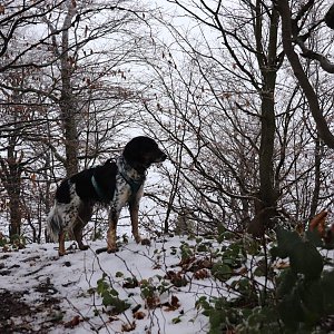 Čaky na vrcholu Dlouhá (21.12.2020 11:15)