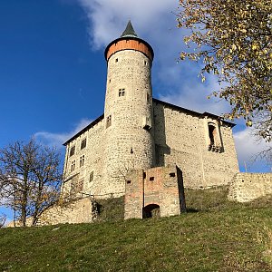 Mertelici na tripu na vrcholu Kunětická hora (17.11.2023 9:39)