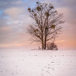 Jiří Králík na vrcholu Skalka (29.12.2017 15:34)