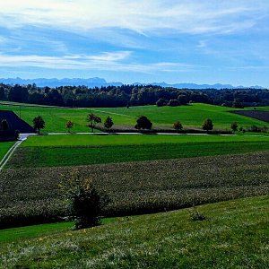 Torr na vrcholu Bäckerbichl (5.10.2022 12:45)