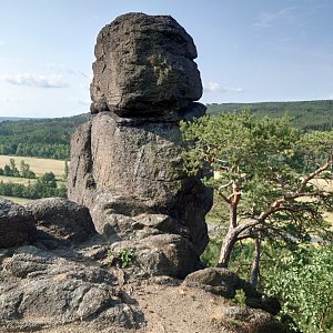 Nojby na vrcholu Kapucín (4.7.2023 8:51)