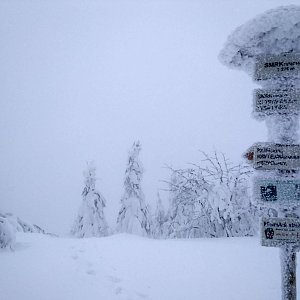 Alda na vrcholu Smrk (14.1.2019 7:51)