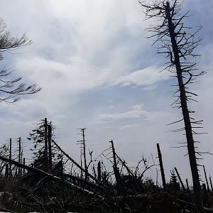 Martin Vlček na vrcholu Smrk (14.4.2019 12:41)