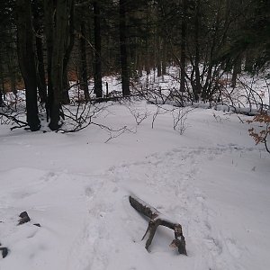 Jaroslav Macura na vrcholu Velká Stolová (27.12.2021 12:34)