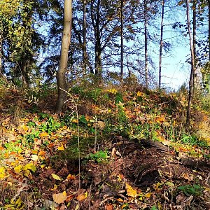 Vratislav Sejkora na vrcholu Malý Sokol (20.10.2022 16:45)