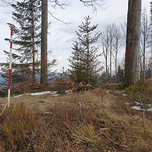 Petr Pepe Peloušek na vrcholu Stanovec (28.3.2021 16:04)