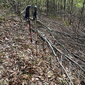 Radka D na vrcholu Říkovská (28.4.2024 15:54)