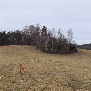 Anežka Boříková na vrcholu U Vítů (10.2.2024 13:43)