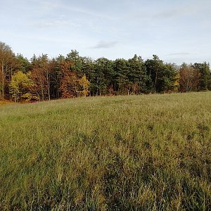 Vladimír Grančay na vrcholu Nad Jílkem (29.10.2022 16:27)