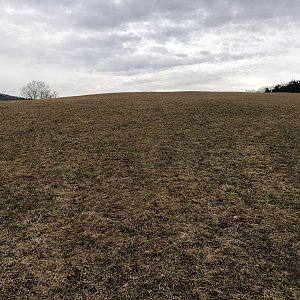 Anežka Boříková na vrcholu Nad Jílkem (10.2.2024 16:03)